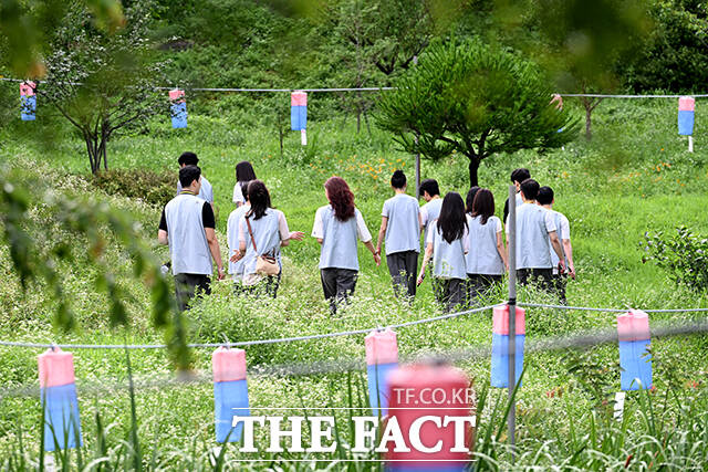 연꽃밭을 걷는 참가자들.