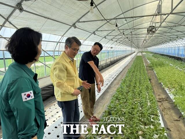 21일 익산시 오산면에 있는 쌈 채소 재배 농가를 찾은 서효원 농촌진흥청 차장이 농가 관계자와 이야기를 나누고 있다. /농촌진흥청