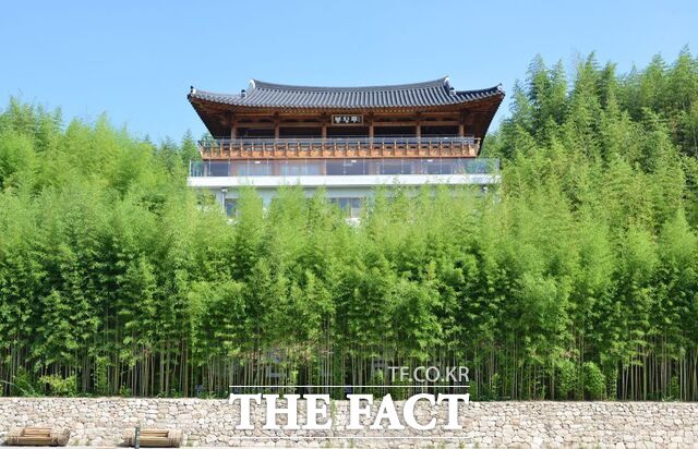 죽녹원 전경. /담양군