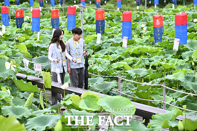 연꽃이 아름다운 봉선사에서 사랑을