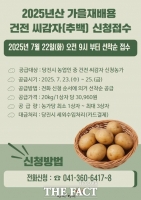  당진시, 가을 재배용 추백 씨감자 2t 신청 접수