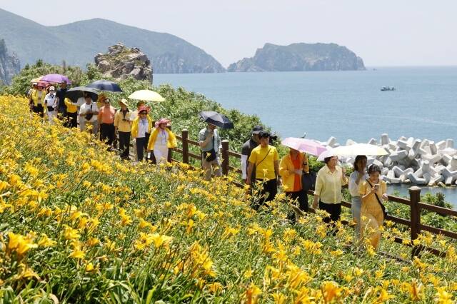홍도를 찾은 관람객들이 원추리 정원을 걷고 있다. /신안군
