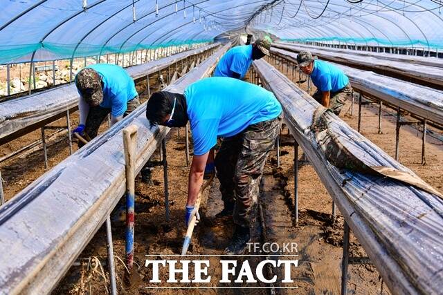 공군 제3훈련비행단 장병들이 경남 하동군 옥종면 수해 지역을 찾아 비닐하우스 안으로 유입된 토사와 폐기물을 치우고 있다. /공군 제3훈련비행단
