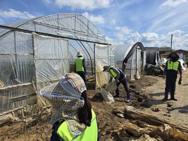 농협 임직원들이 수해 복구 활동을 펼치고 있다. /농협중앙회