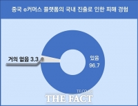  알리·테무 공습에 중기 신음…