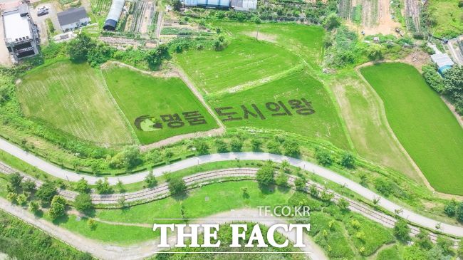 들녘에 벼로 그려낸 의왕시 상징 모습 /의왕시