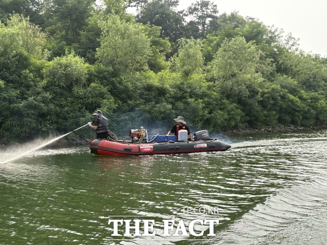 용인시 관계자들이 기흥호수에서 녹조 제거 활동을 벌이고 있는 모습./용인시