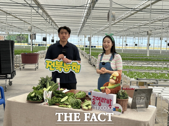 23일 전북농협은 동김제농협 청년 농업인이 직접 생산한 유러피안 샐러드를 공영홈쇼핑 공영라방을 통해 소개하고 있다. /전북농협