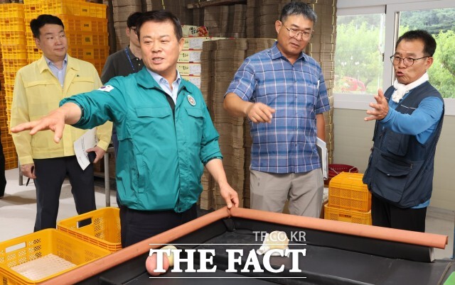 이학수 정읍시장이 22일 복숭아·고추·오이 재배 농가를 직접 찾아 폭염 피해 상황과 애로사항을 점검하고 있다. / 정읍시