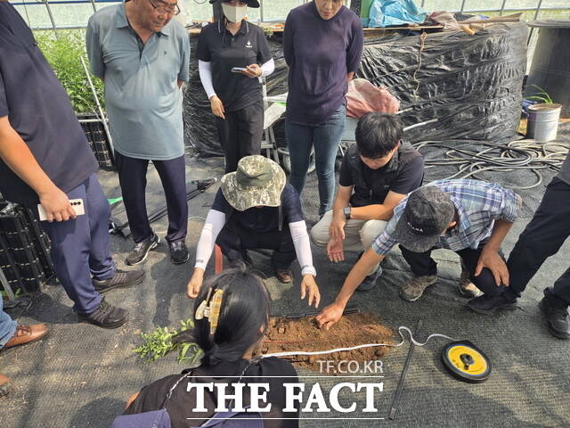 지초 안정생산 시범사업 중간 평가회에서 농가 견학이 진행되고 있다. /진도군