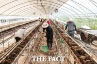  청양군, 당진시 침수 농가 수해복구 힘 보태