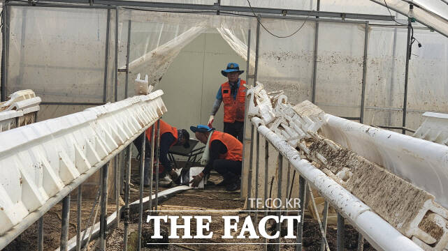 논산시자원봉사센터가 23일 홍성군 수해 복구 현장에서 자원봉사를 펼치고 있다. /논산시