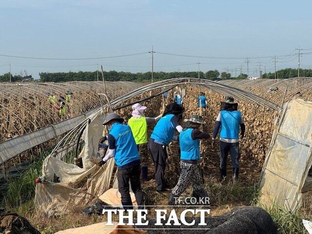 농협중앙회 대전본부는 대전 관내 농축협 임직원들과 함께 24일 충남 예산군 중예리와 홍성군 금마면 화양리 농촌마을을 찾아 수해복구를 지원했다. /농협대전본부