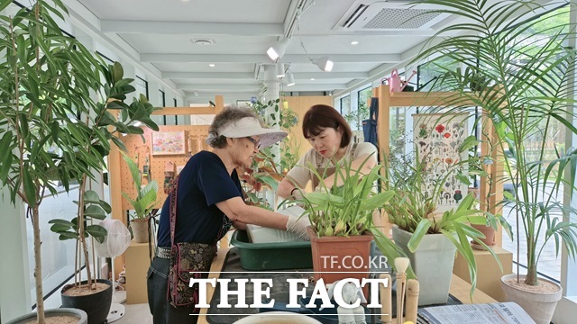 시는 반려식물 보급 외에도 반려식물 클리닉을 운영 중이다. 지난해 1만 4000건의 진단·처방이 이뤄졌다./서울시