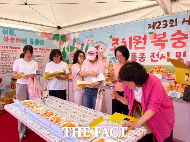 25일 ‘제23회 세종 조치원복숭아 축제의 부대행사로 세종 조치원복숭아 품종 전시 및 품평회가 열리고 있다. /세종시