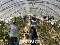  서천군농업기술센터, 예산군 수해 농가 복구 지원