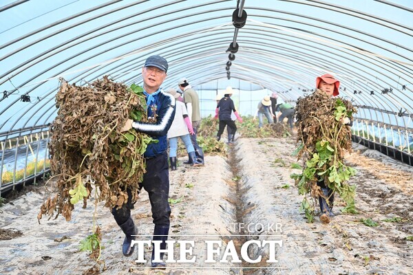 김제선 대전 중구청장(왼쪽)이 지난 26일 충남 부여군 호우 피해지역에서 자원봉사를 하고 있는 모습 /대전 중구