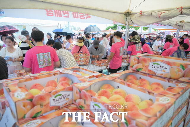 축제 연일 관광객으로 북적대고 있는 판매장 /세종시