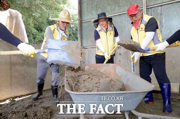 조원휘 대전시의회 의장을 비롯한 시의원들이 28일 충남 당진시 면천면을 찾아 수해 복구 자원봉사활동을 진행하고 있는 모습./대전시의회