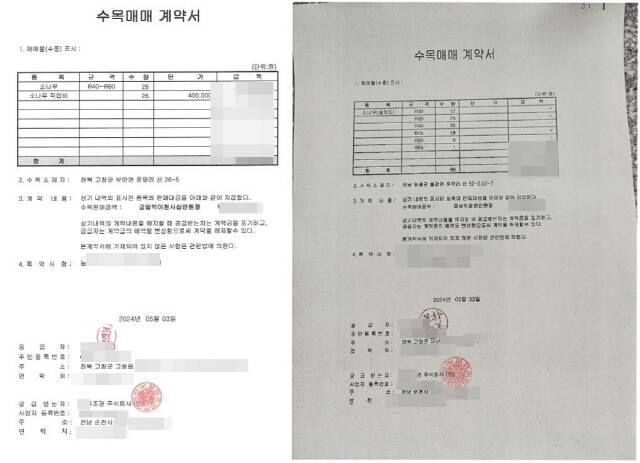 반출증 없이 무단으로 가져와 식재된 소나무 계약서. /김동언 기자