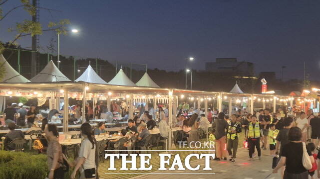 제23회 세종 조치원복숭아 축제장 야경 /세종시