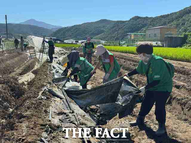 군위군새마을회원 40여 명은 28일 폭우 피해로 어려움을 겪고 있는 경남 합천군 삼가면 외토리 일대는 농경지에서복구 작업을 펼치며 구슬땀을 흘리고 있다. /군위군새마을회