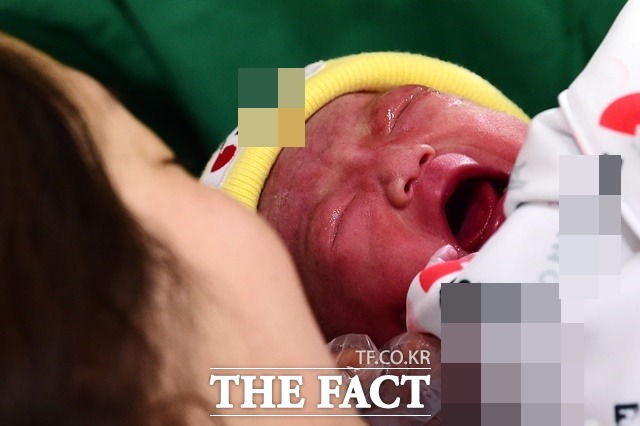 지난 5월 출생아 수는 2만309명으로 전년 동월 대비 3.8%가 증가해 2011년 이후 가장 큰 폭의 증가율을 나타냈다. /더팩트 DB