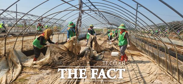 대덕구 지역자율방재단이 29일 집중호우로 큰 피해를 입은 예산군을 방문해 비닐하우스 복구 작업을 진행하고 있다./대덕구