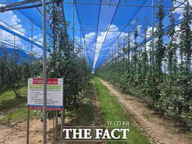 당진시 기후 변화 대응 다목적 햇빛 차단망 시설 모습. /당진시