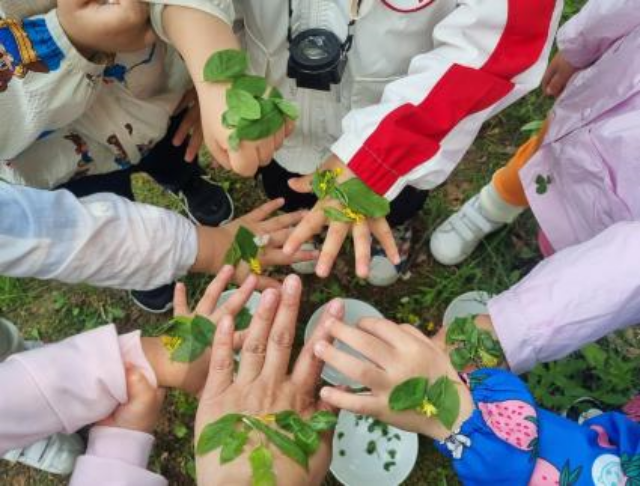 서울 강동구는 숲과 도서관을 연계한 숲 해설 프로그램을 오는 8월부터 정기 운영한다. /강동구