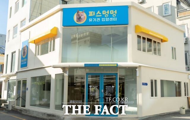 유기견 입양센터 전경 /광주 동구