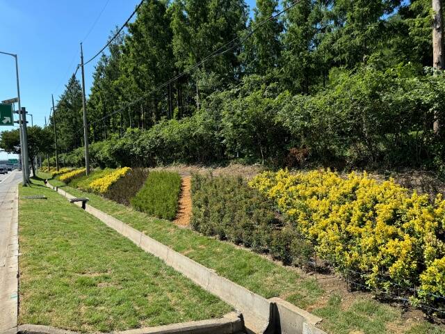 서울시는 강변북로, 개화동로, 송파대로 등 서울 진입 주요 도로 3곳, 총 2.9㎞ 구간에 걸쳐 정비 사업을 마무리했다고 30일 밝혔다. /서울시