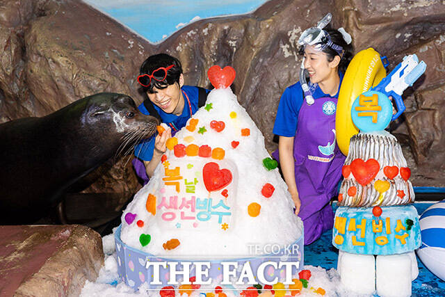 복날 생선빙수 먹는 바다사자. /롯데월드