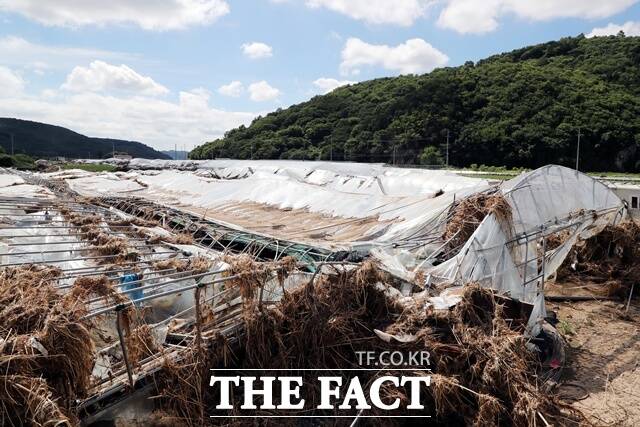 하동군 수해현장 모습/하동군