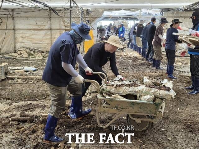 충남도 인사담당관실과 충남도공무원노동조합이 30일 폭우로 피해를 입은 예산군 농가를 찾아 복구 활동을 펼치고 있다. /충남도