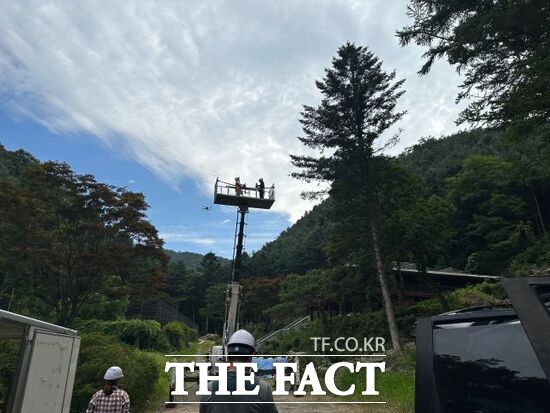 경기도 관계자들이 29일 경기 남양주시에서 드론을 이용해 소나무재선충병 예찰 활동을 벌이고 있다. /경기도