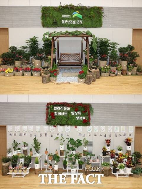 서울 은평구(구청장 김미경)는 도시 생활 속 심리적 스트레스의 경감 및 정서적 안정 증진을 위해 관내 65세 이상 저소득층 어르신을 대상으로 ‘반려식물 보급사업’을 추진한다고 30일 밝혔다./은평구