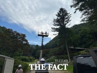  경기도, 여름철 소나무재선충병 확산 방지 위한 '3중 예찰' 추진