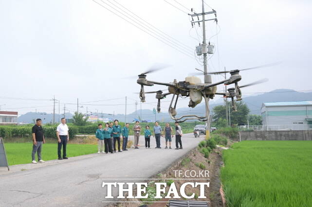 벼 병해충 항공 공동 방제 장면. /공주시