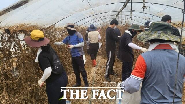 박정현 부여군수를 비롯한 공무원 50명이 자원봉사단을 꾸려 지난달 31일 예산군 신암면 일대에서 침수 피해 복구에 구슬땀을 흘렸다. /부여군