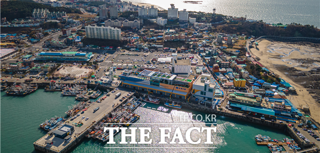 대천항수산시장 전경. / 보령시