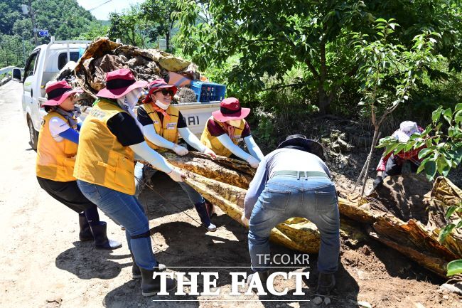화성시 자원봉사자들이 경남 합천군을 찾아 수해 복구활동을 펼치고 있다./화성시