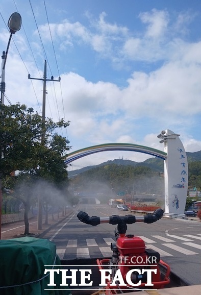 진도군보건소가 연무 방역소독을 실시하고 있다. /진도군