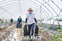  김석필 천안시장 권한대행, 100일간의 행보…시민 안전과 지역경제 집중