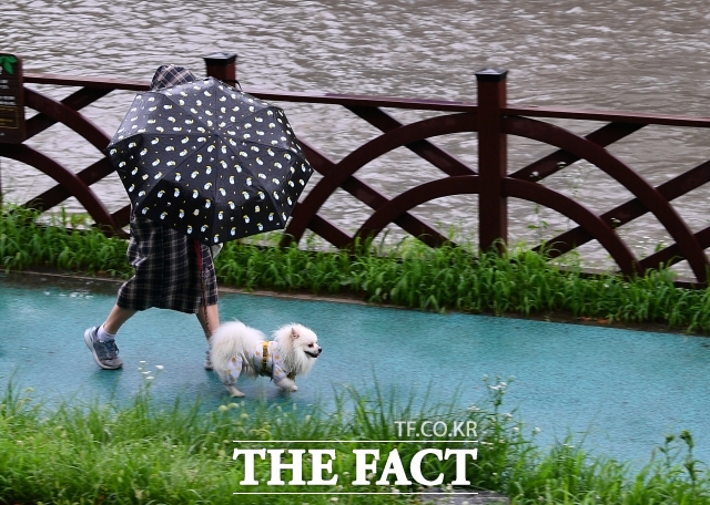 3일은 전국적으로 많은 비가 내리겠다. /더팩트 DB