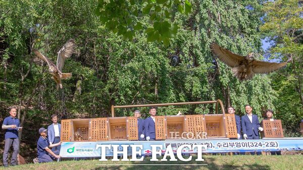 대전오월드가 4일 자체 번식에 성공한 멸종위기종 올빼미 2마리와 수리부엉이 5마리를 자연으로 방사했다./대전도시공사