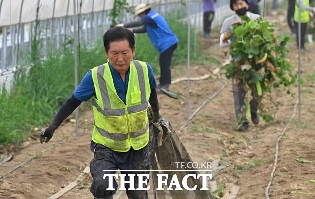 정 대표는 검찰개혁 특위에 민형배 의원, 언론개혁 특위에 최민희 의원, 사법개혁 특위에 백혜련 의원을 각각 위원장으로 임명하며 개혁 드라이브에 속도를 높였다. /뉴시스