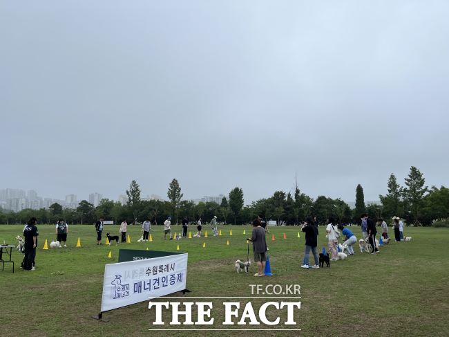 매너견 인증 테스트 교육 모습 /수원시