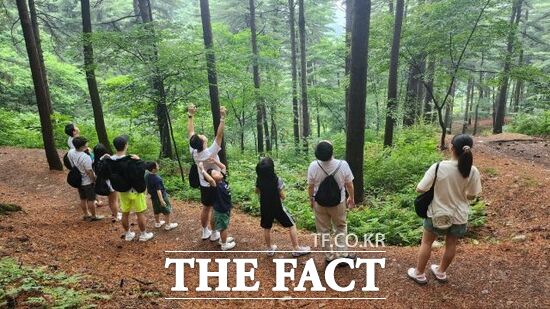 경기 포천시 신북면 금동리에 위치한 하늘아래치유의숲을 찾은 도민들이 ‘숲속의 마음챙김’ 등 푸른 산림을 보며 마음을 치유하는 프로그램에 참가하고 있다./경기도