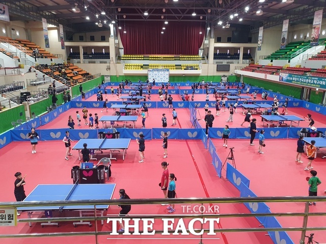 장흥군이 초등생 탁구대회를 개최하고 있다. /장흥군